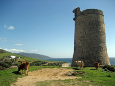 Spain-Southern Spain-From Mountain to Sea in Southern Spain